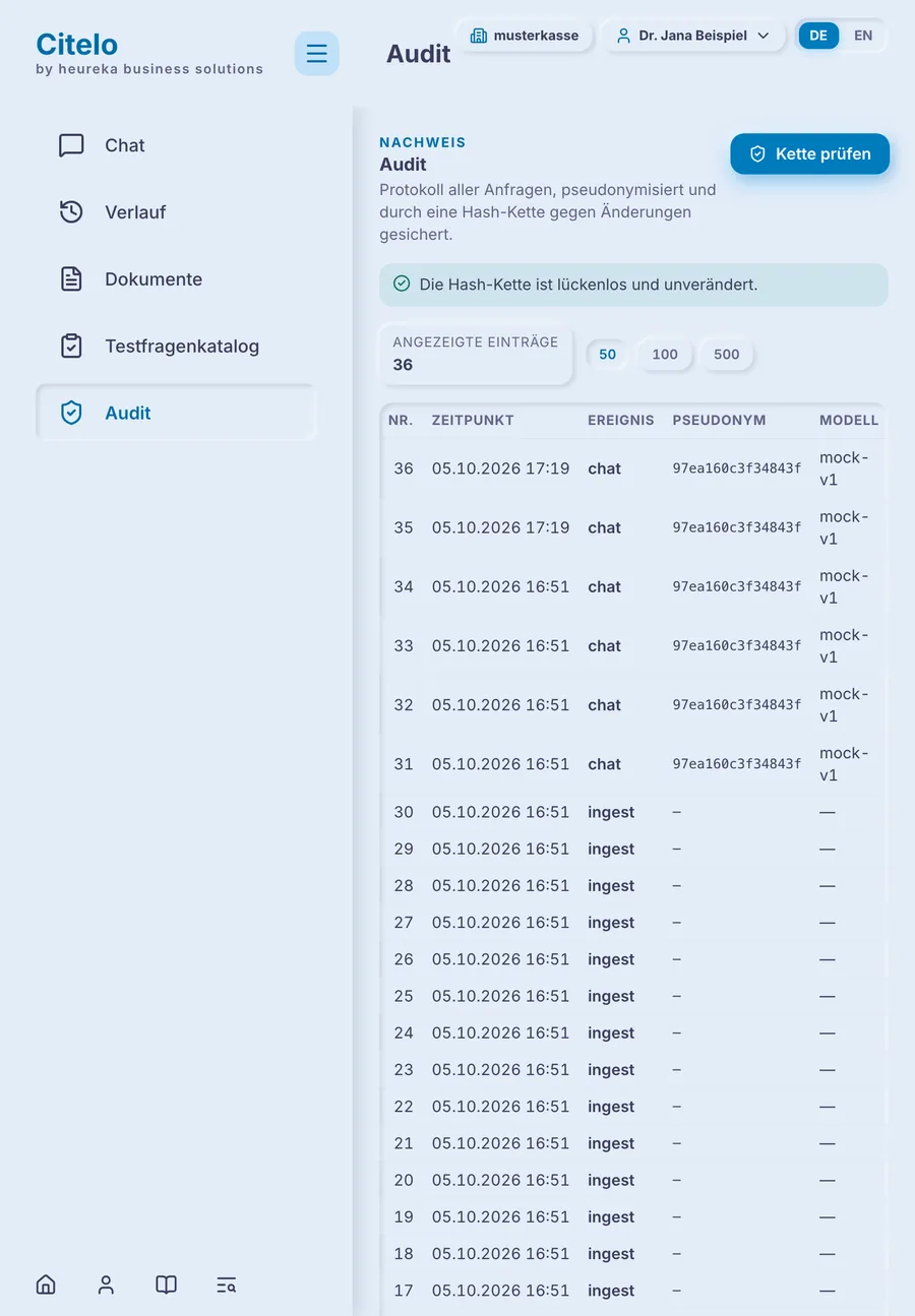 Seite Audit mit dem Protokoll der Anfragen und der Meldung, dass die Hash-Kette lückenlos ist. Beispiel mit fiktiven Testdaten.
